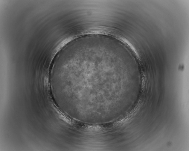 X0000100380882200806131057