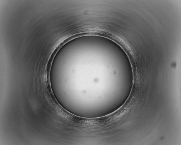 X0000100380883200806131057