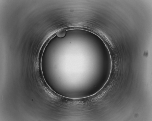 X0000100380884200806131057