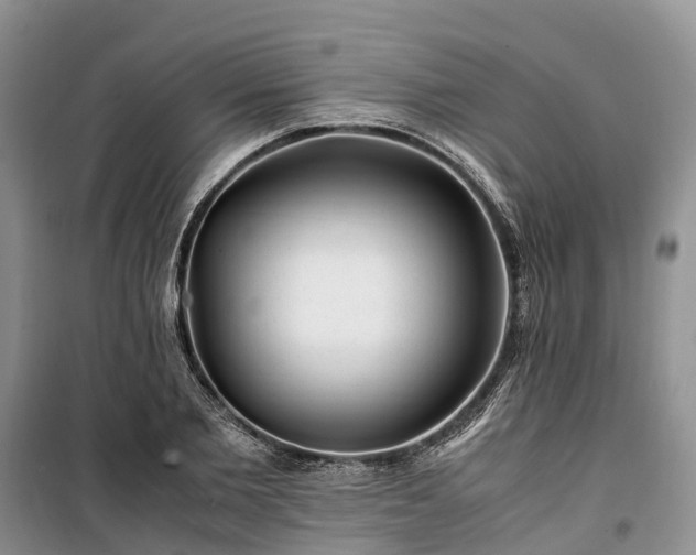 X0000100380885200806131057