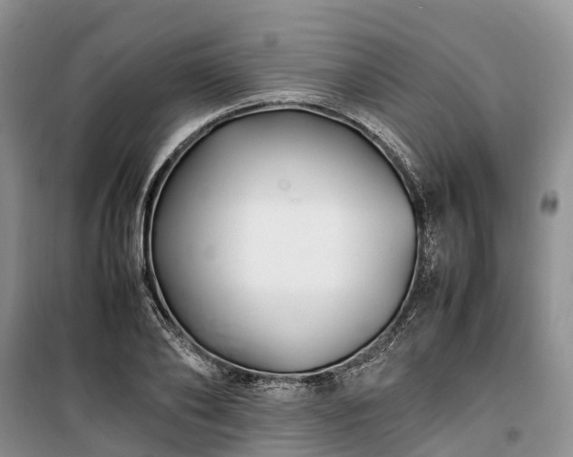 X0000100380886200806131057