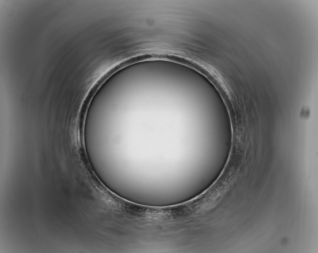 X0000100380887200806131057