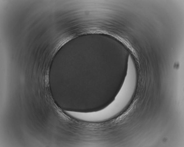 X0000100380889200806131057