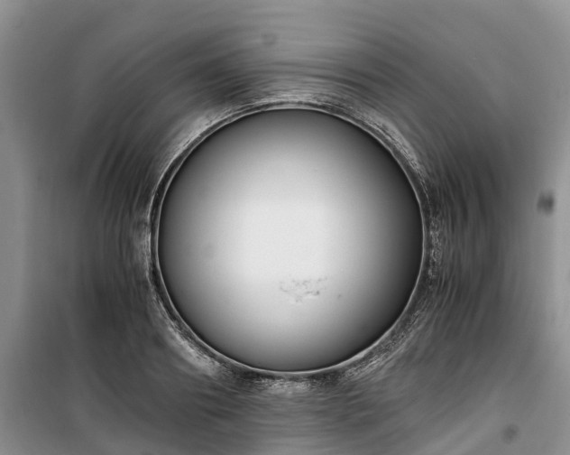 X0000100380890200806131057