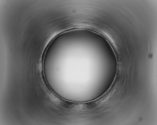 X0000100380891200806131057