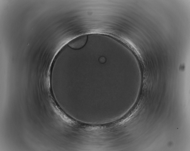 X0000100380892200806131057
