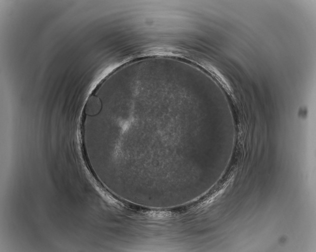 X0000100380893200806131057