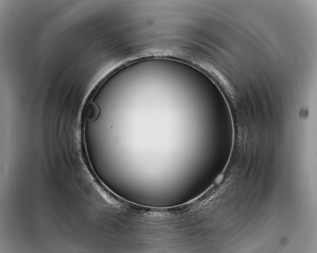 X0000100380894200806131057