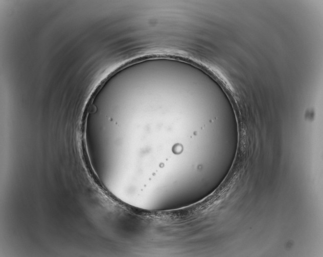 X0000100380895200806131057