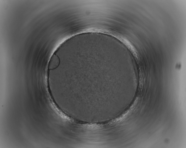 X0000100380896200806131057