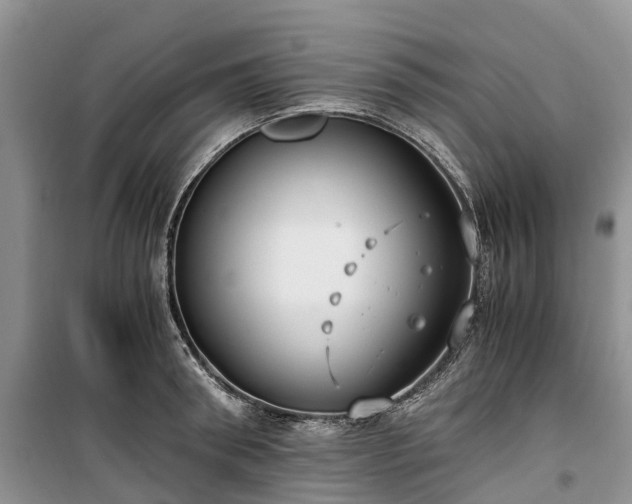 X0000100380898200806131057