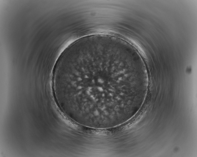 X0000100380899200806131057