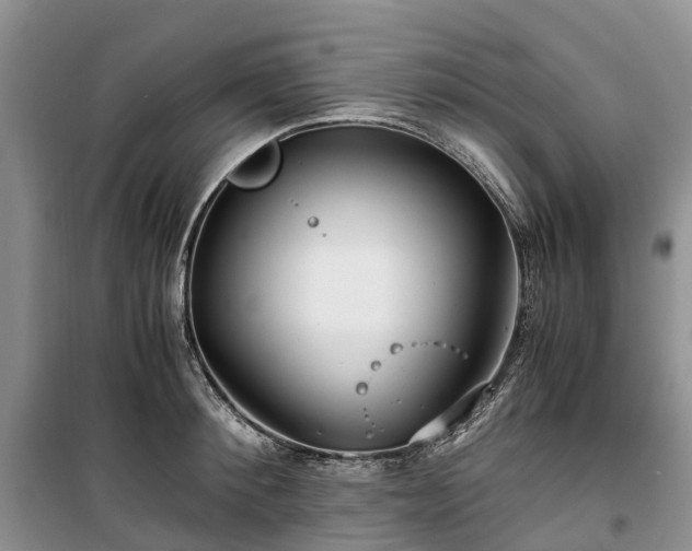 X0000100380900200806131057