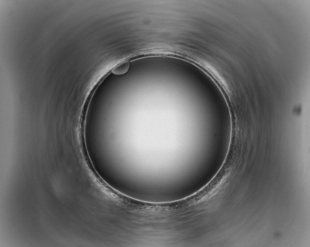X0000100380901200806131057