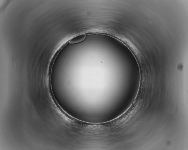 X0000100380902200806131057