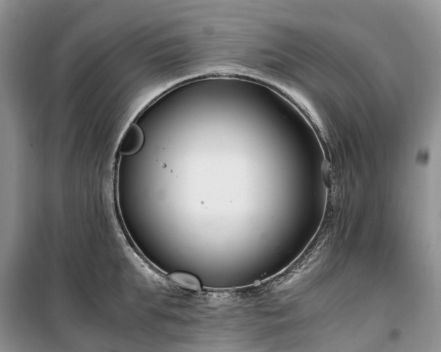X0000100380903200806131057