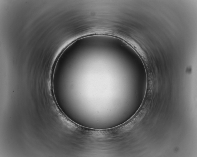 X0000100380904200806131057
