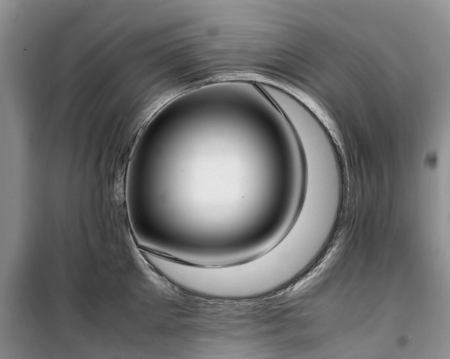 X0000100380905200806131057