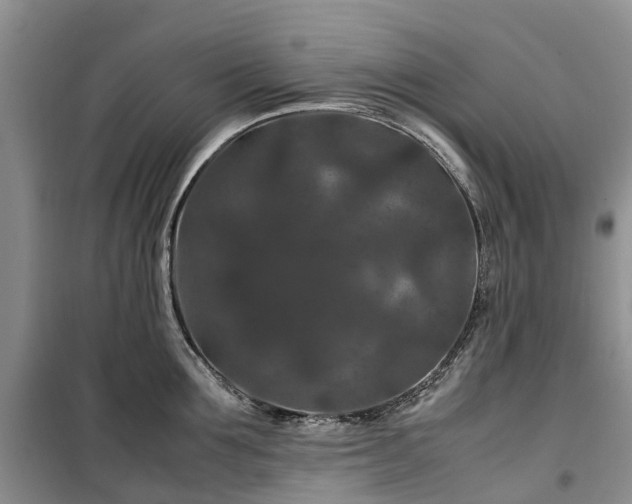 X0000100380907200806131057