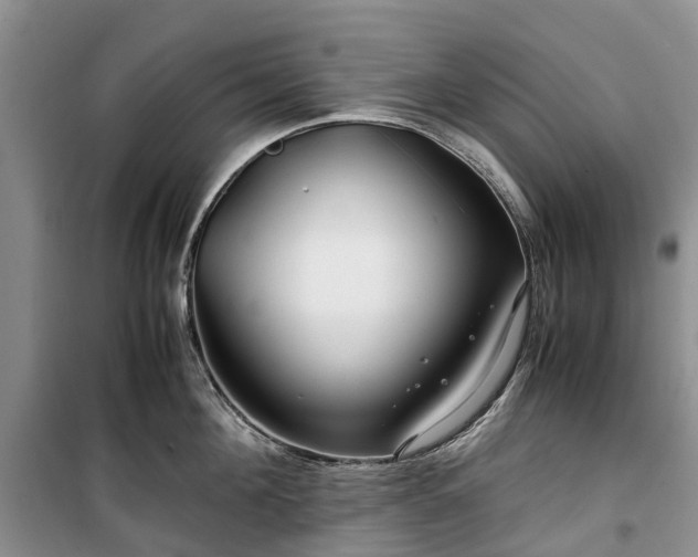 X0000100380908200806131057