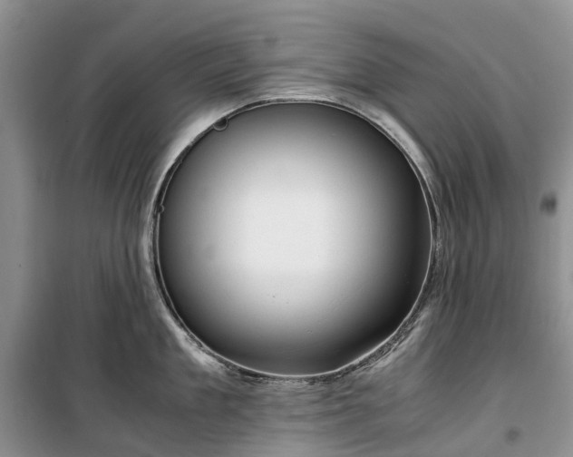 X0000100380909200806131057