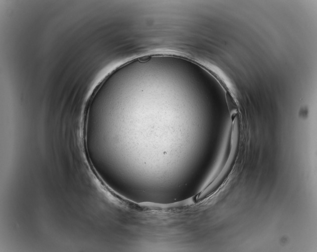 X0000100380910200806131057