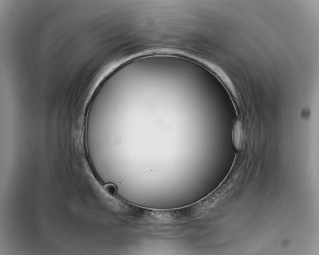 X0000100380911200806131057