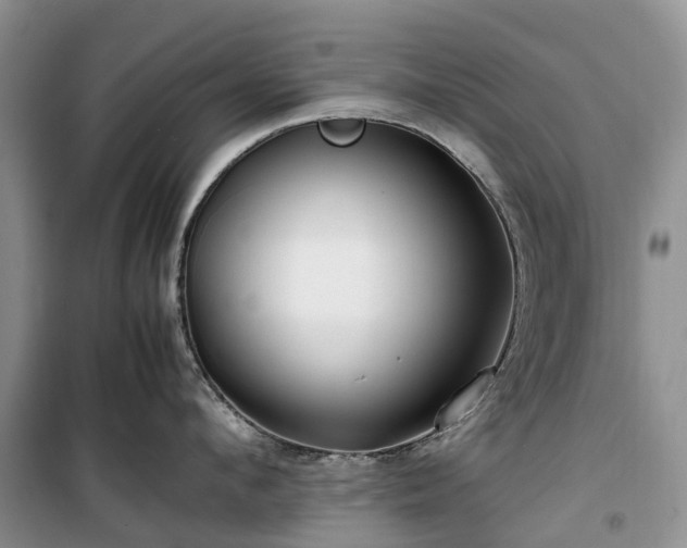 X0000100380912200806131057