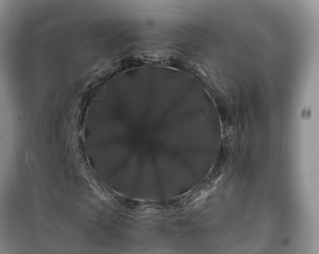 X0000100380913200806131056