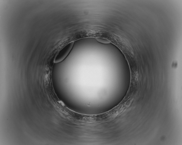 X0000100380914200806131056