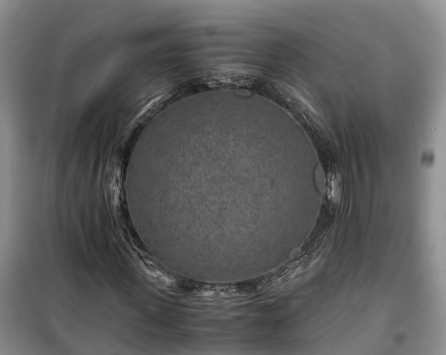 X0000100380915200806131056
