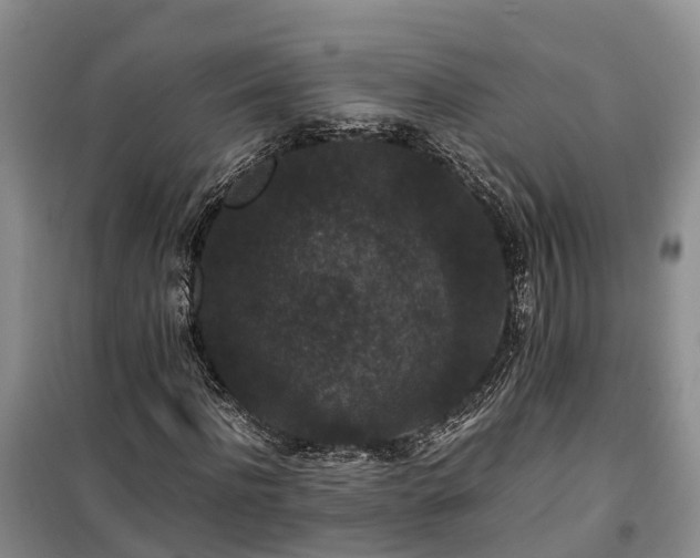 X0000100380916200806131056