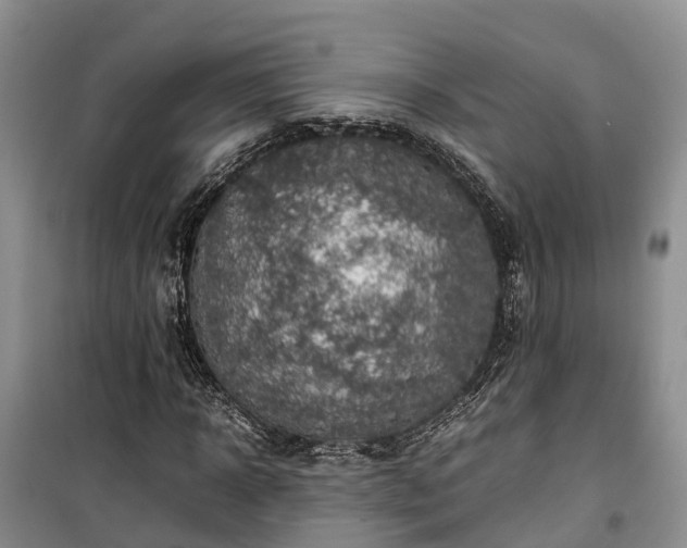 X0000100380918200806131056