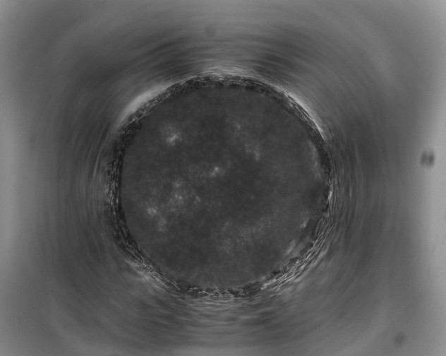 X0000100380919200806131056