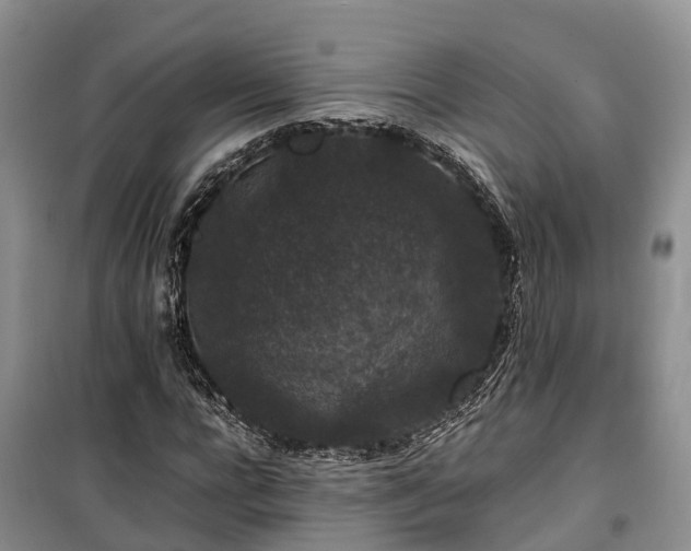 X0000100380920200806131056