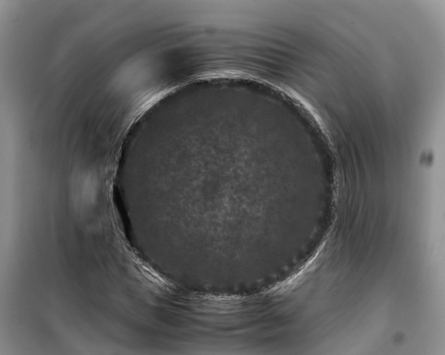 X0000100380921200806131056