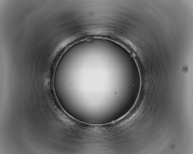 X0000100380922200806131056