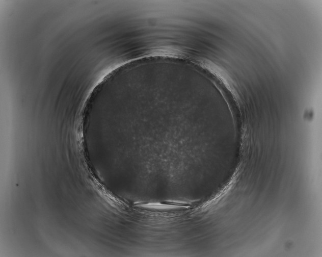 X0000100380923200806131056