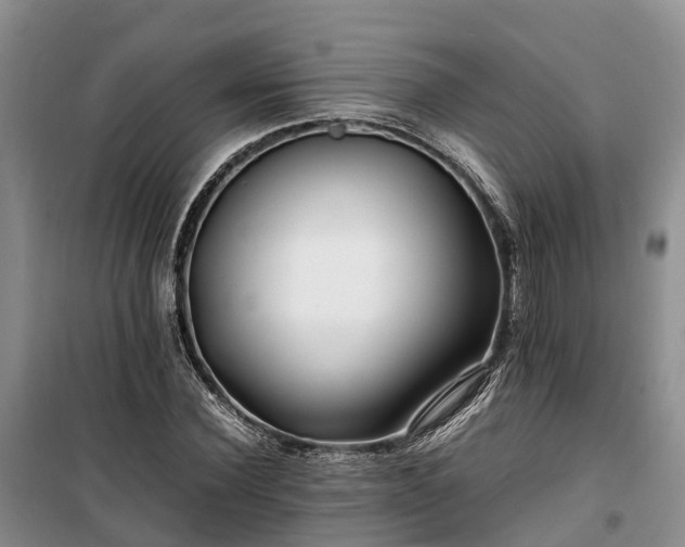 X0000100380924200806131056
