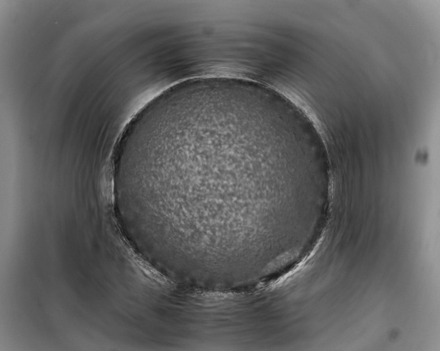 X0000100380925200806131056