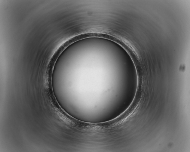 X0000100380926200806131056