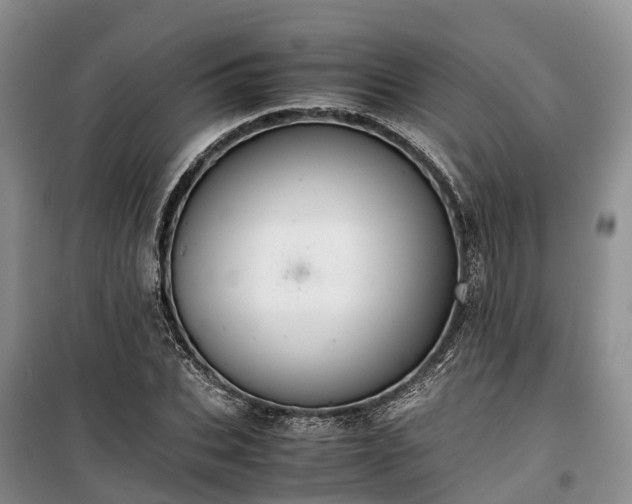 X0000100380927200806131056