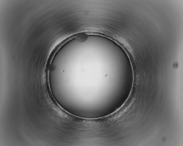 X0000100380928200806131056