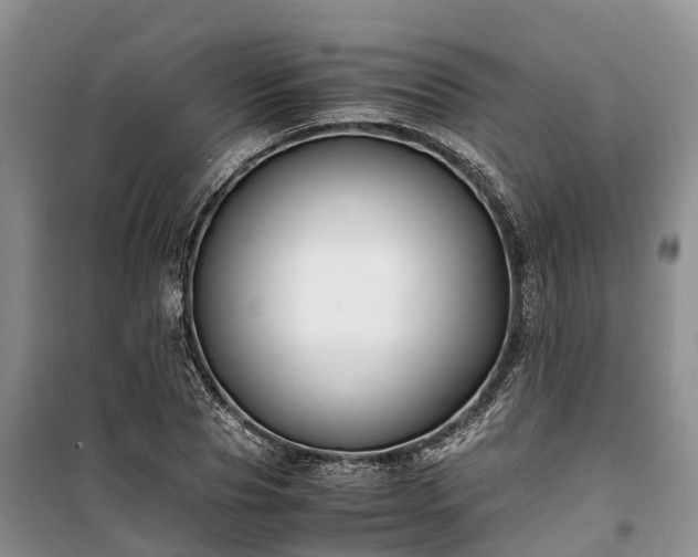 X0000100380929200806131056