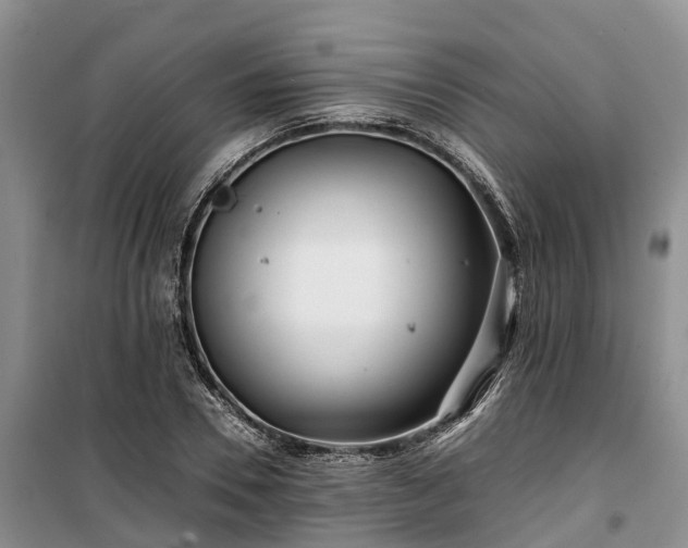 X0000100380930200806131056