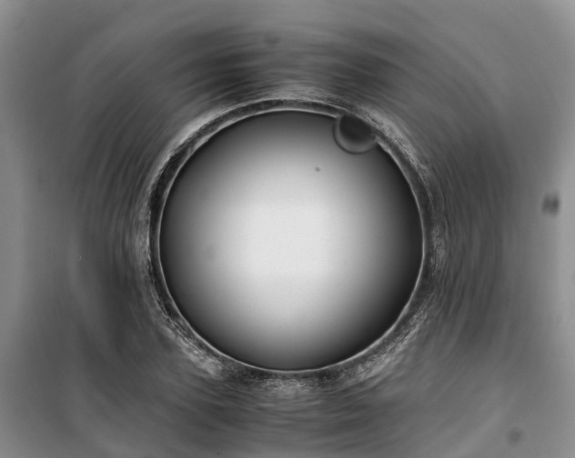 X0000100380931200806131056