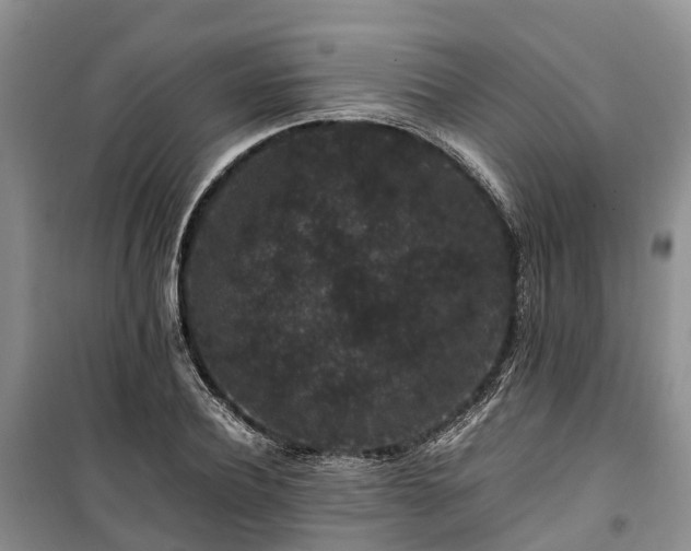 X0000100380932200806131056