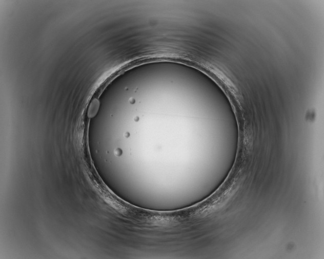 X0000100380933200806131056