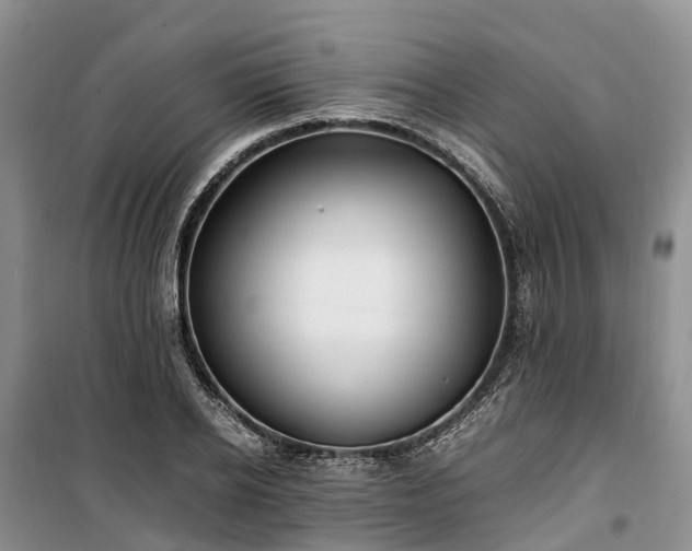 X0000100380934200806131056