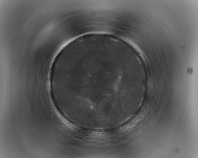 X0000100380935200806131056